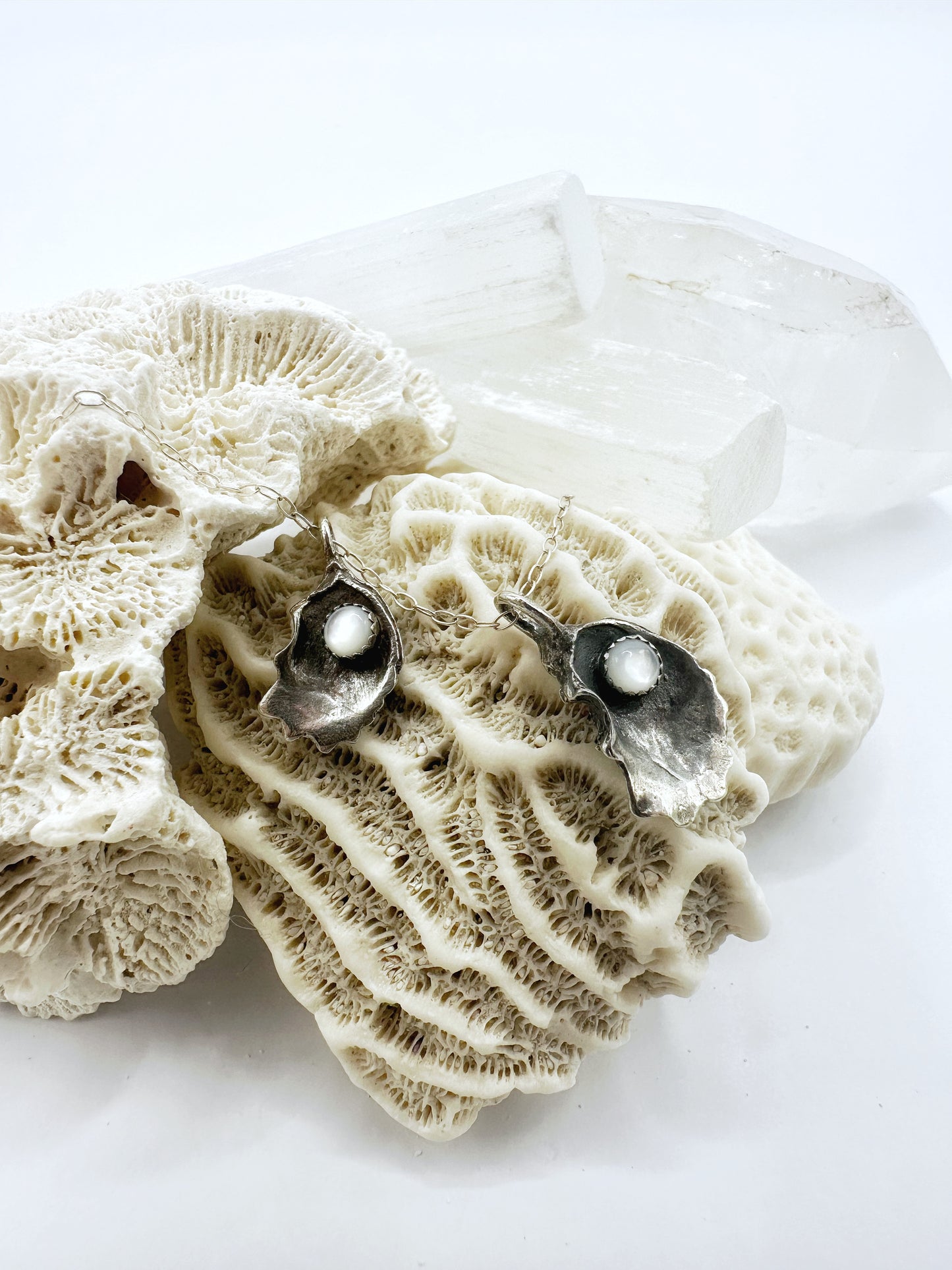 Oyster Shell with Mother of Pearl