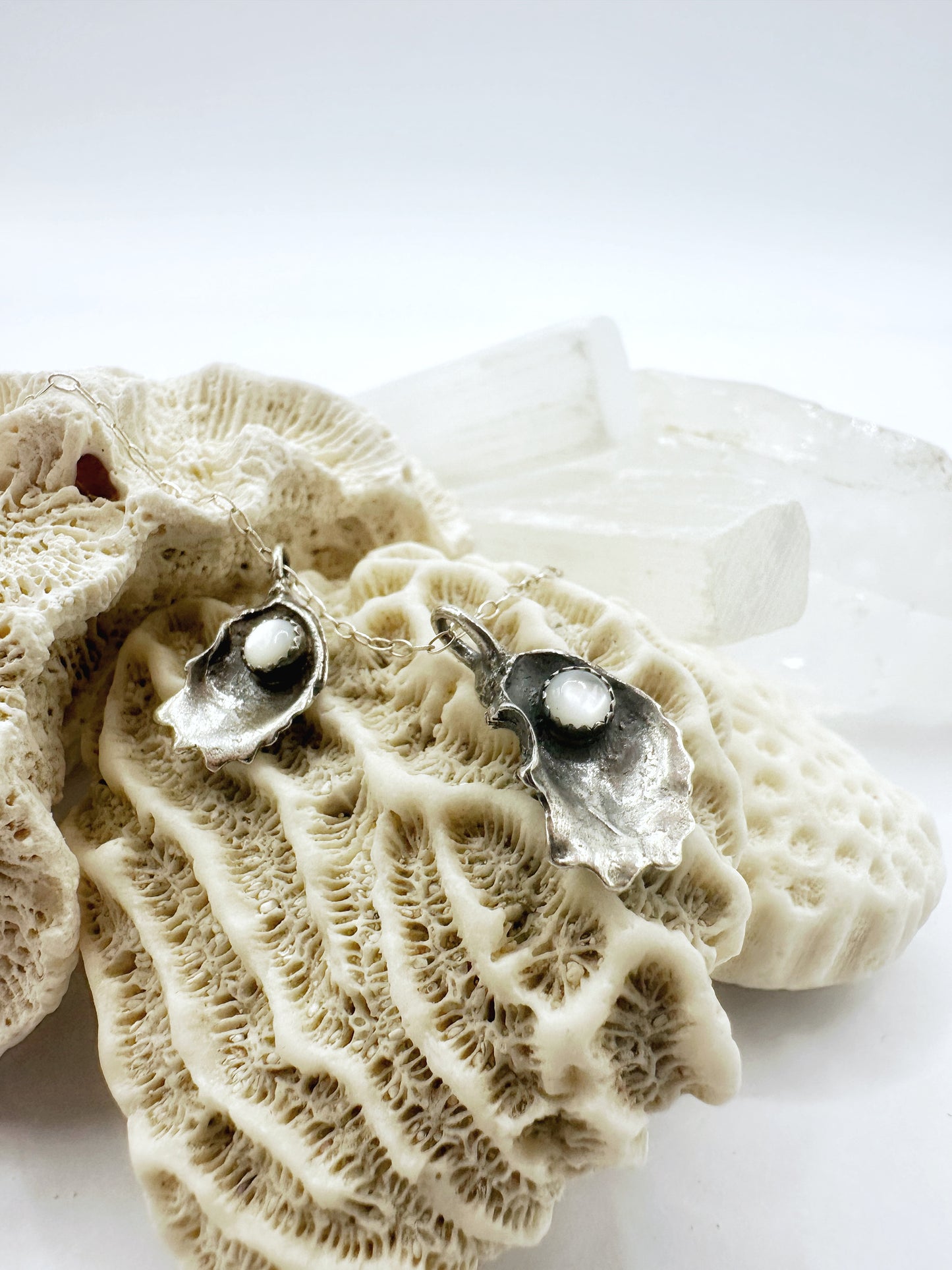 Oyster Shell with Mother of Pearl