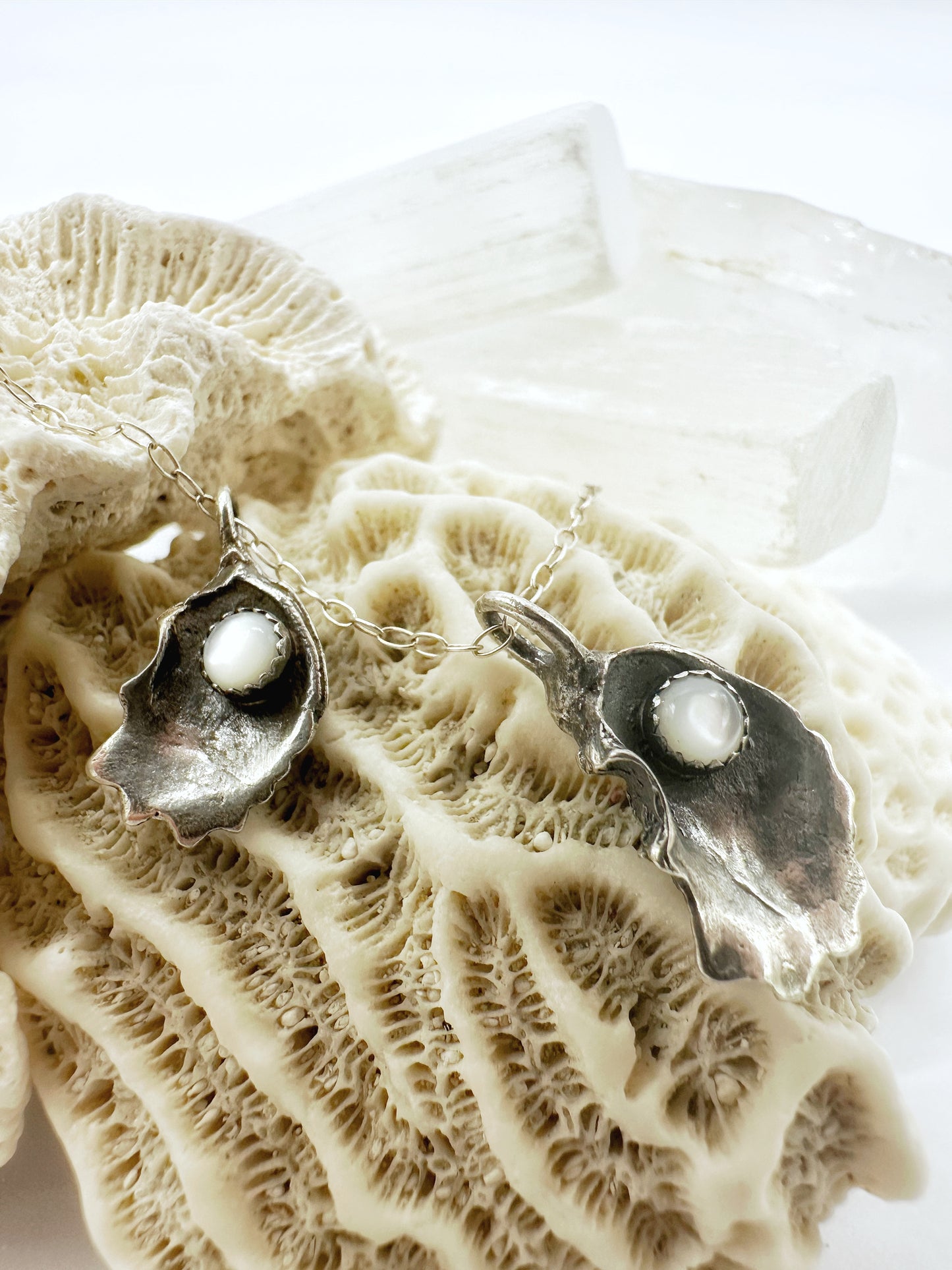 Oyster Shell with Mother of Pearl