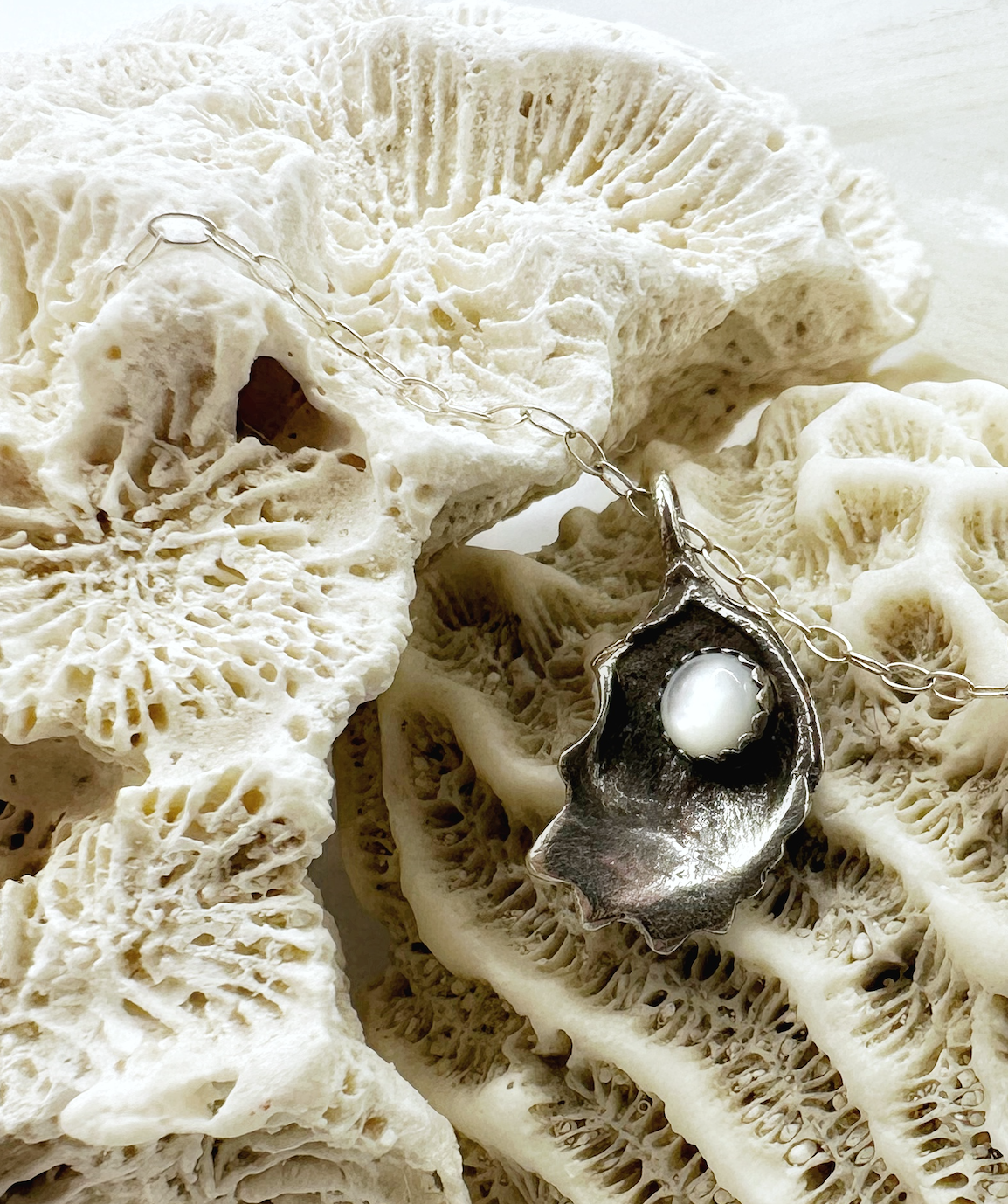 Oyster Shell with Mother of Pearl