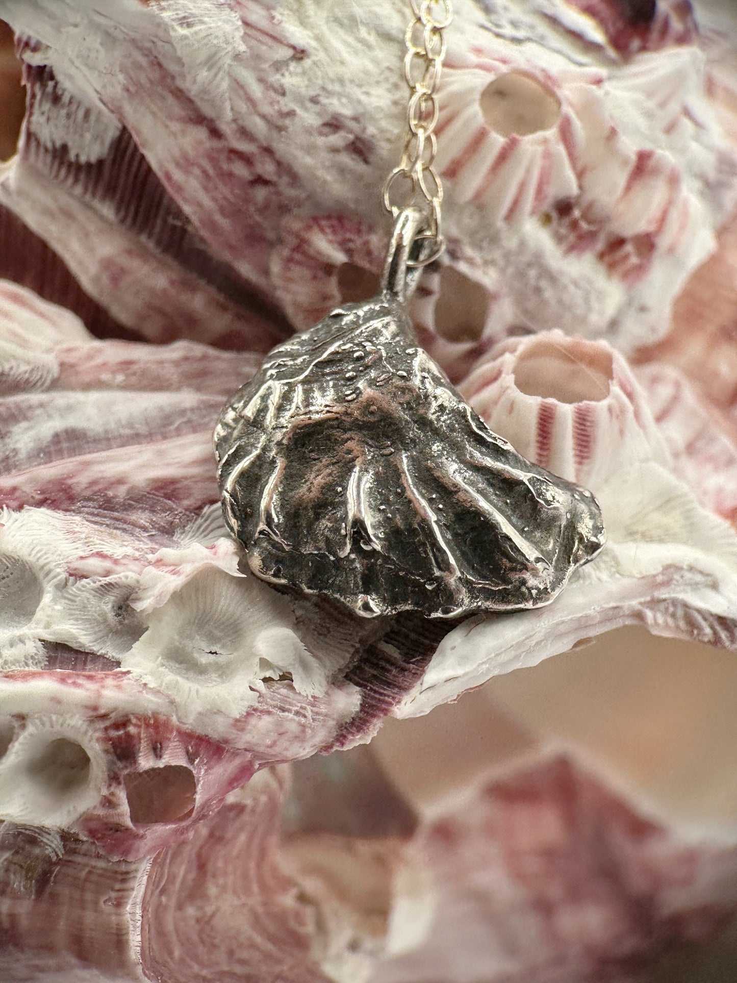 Oyster Shell and Pearl on Black Ribbon