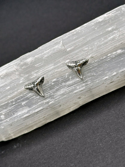 Shark Tooth Studs