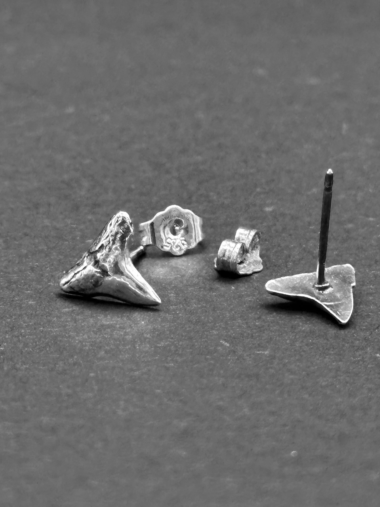 Shark Tooth Studs