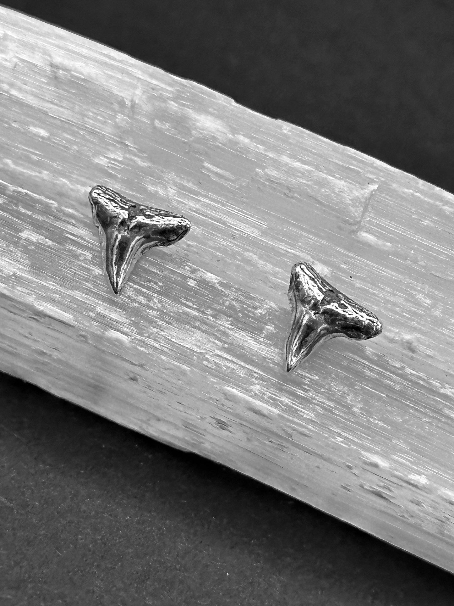 Shark Tooth Studs