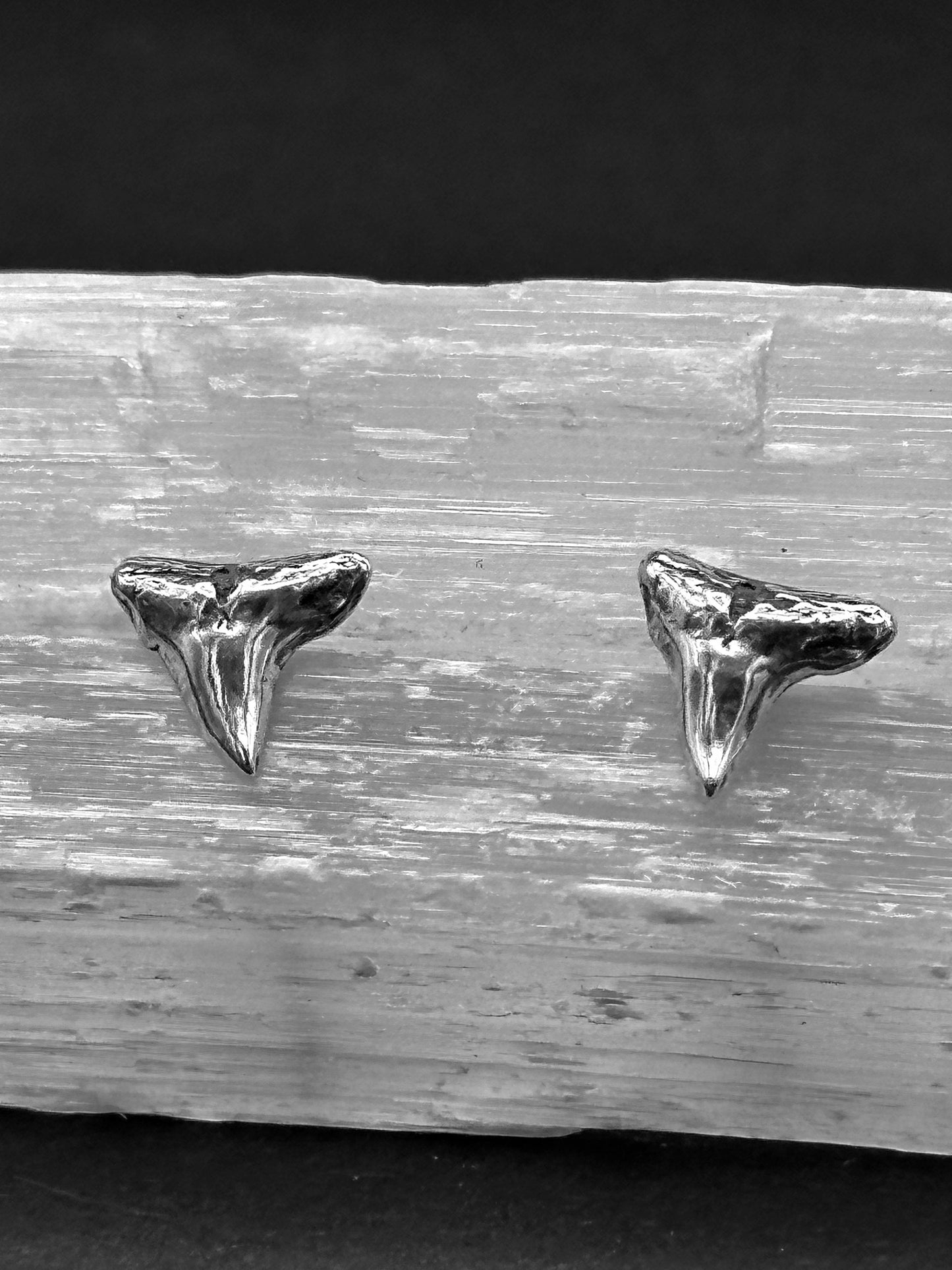 Shark Tooth Studs