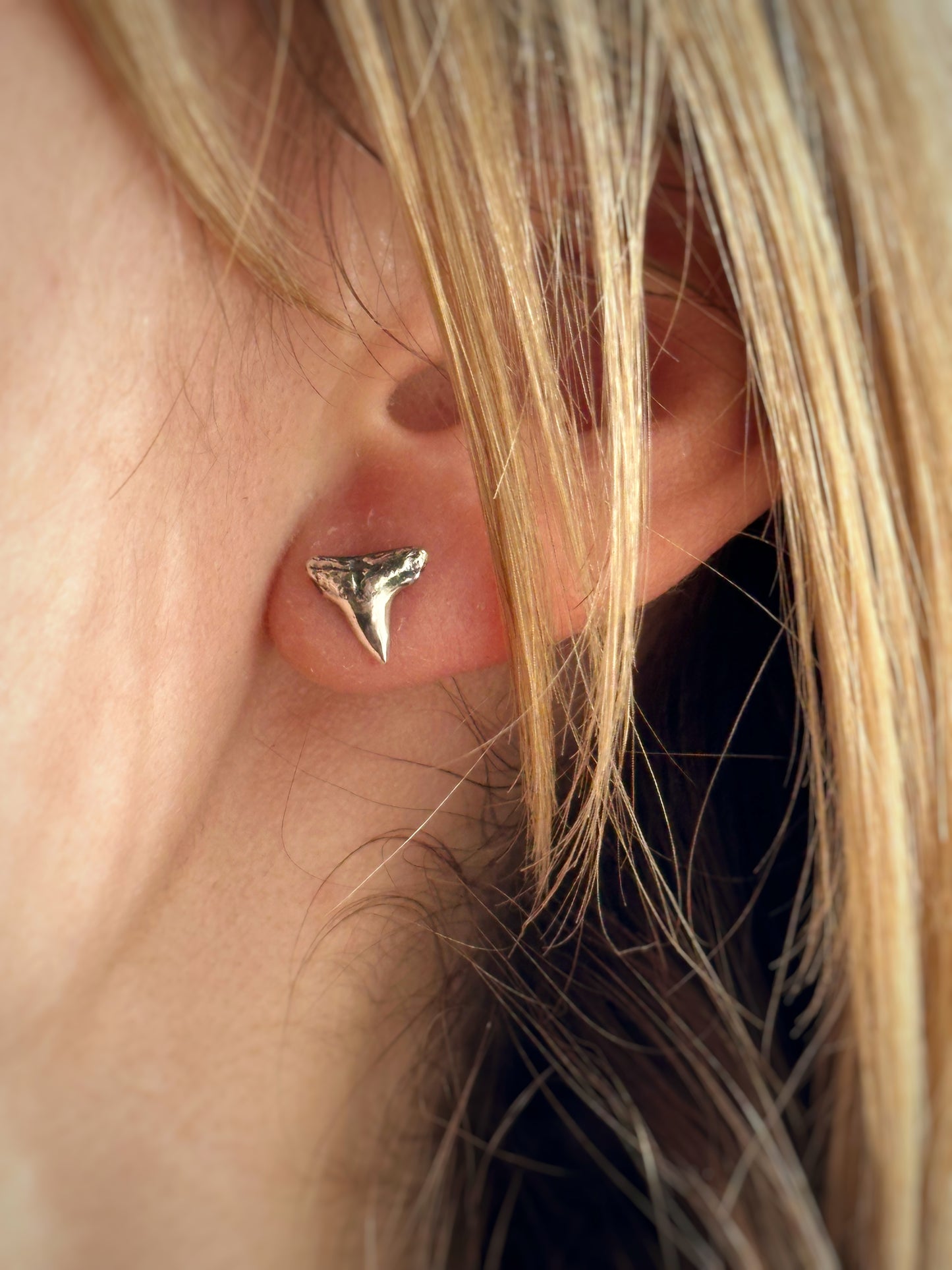 Shark Tooth Studs