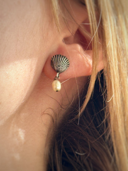 Clam Shell and Pearl Studs